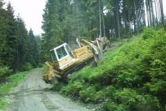 Nordhang/Radspitze - Arbeitseinsätze 2009