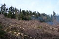 Nordhang - Arbeitseinsatz Mär. 2008