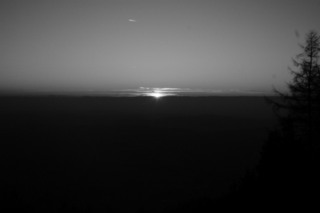 SONY DSC